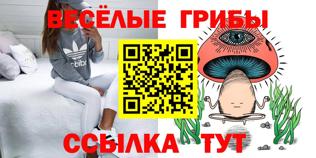 Новочеркасск  Галлюциногенные грибы прущие грибы  Псилоцибиновые грибы прущие грибы  Вход с VPN 